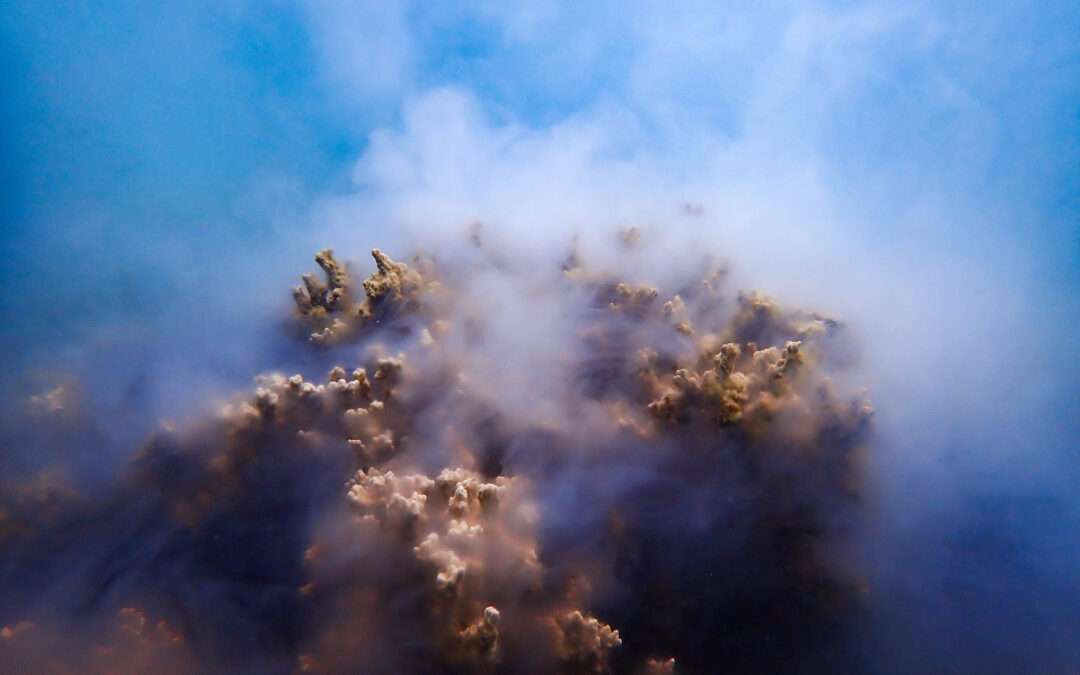 Observation des pontes du corail Porites rus